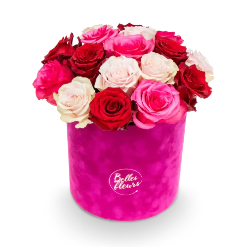 Květinový box růží